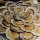 더가리비 이미지