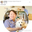 토리 이미지