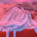 원일축산 이미지