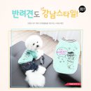 에이미펫 - 중구 백운로 39 | 에이미펫