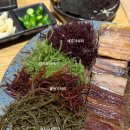 해초과메기양정점 이미지