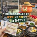 봉화랜드 | 봉화 국립백두대간수목원 후기 | 입장료·트램·호랑이 관람 &amp; 동궁 식사 코스