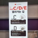 두리냉동산업 | 2022 제21회 서울카페쇼 퍼블릭데이 참관 후기(23년도 카페쇼 참고사항 안내)
