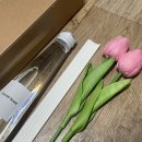 (주)그린산업 | 오키드쎈트 집들이 선물 강아지도 안심 리프그린 디퓨저 후기