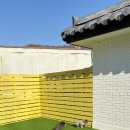 헬로우버디 판교밸리점 이미지