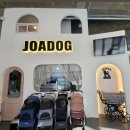 조아독 애견호텔 | JOADOG 속초애견호텔추천 조아독 강아지고양이유치원