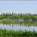 사업장부설 이미지