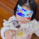 영통로 61번길 1R | 반월동 답례품 추천! 설송원 망개떡 솔직후기 20개 세트 순삭