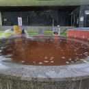 홍삼스파참숯가마사우나 이미지