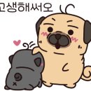 올리스24 명지점 네이버블로그