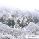 기명목장 이미지