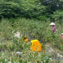 조아농원 이미지