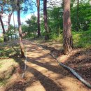 삼태기길입구 이미지