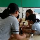 관음초등학교 이미지