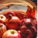 매일커피 이미지