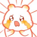 레인보우플러스