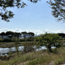 화순 하니움문화스포츠센터 갤러리(전시실) | 화순 미네랄하우스 아기랑 가기 좋은 광주근교 신상카페