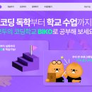 비버코딩 이미지