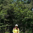 연신내로 이미지