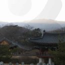 바래4길 Daum카페