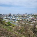완산-109 | 전주 4월 추천 여행지 : &#39;전주 완산칠봉 꽃동산&#39; &amp; 주차팁