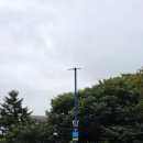 토요 키즈 드럼교실 | 원더파크 과천 할인받고 4살 아기랑 30분만에 나와서 식당가서 점심먹은 후기