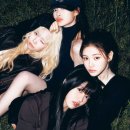 돈크라이 이미지