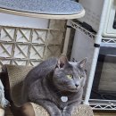 스타게이트노래방 이미지