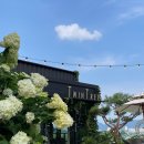 고산로126번길 이미지