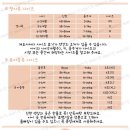 베베드망