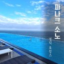 인피니티 | 영덕 호텔 추천 파나크 소노 슈페리어 오션뷰 후기 (인피니티풀 영덕 호캉스 숙소)