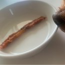 꼬르륵댕댕 이미지