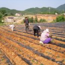 도곡리영농조합법인 이미지