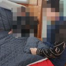 곰섬황토방 | 26개월 쌍둥이 아기와 조개캐러 태안 곰섬황토펜션 방문 후기