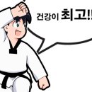 해맑은 태권도 이미지