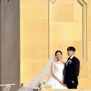 영식축사 이미지