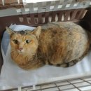 광산구-119 이미지