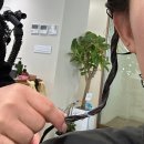 고은미용실 | 평택역미용실 손상모 하오니코 헤어클리닉 후기 르마르헤어앳홈 by.고은 디자이너