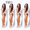 평화헬스장 Daum카페