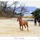 파크 이미지