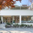 벨라루나 이미지