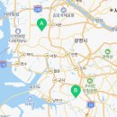 안산 요미독앤캣 강아지분양 고양이분양 이미지