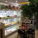 백설 애견샵 이미지