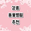 난곡동-63 | 강릉시 동물병원 추천 잘하는곳 24시 후기 야간진료 주말 가격 비용