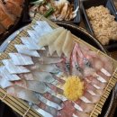 도톰애월 | 도민이 직접 데려간 애월 맛집! 고등어회, 딱새우회 횟집 맛집 [도톰 애월점] 내돈내산 내돈내먹 후기!