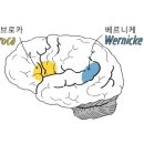 최순실과 박근혜는 허언증인가 베르니케 실어증인가? - 약물중독의 치명적 결과 이미지