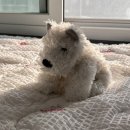 모루도서관 사랑방 | 2024년 봄, 여름 순간 기록