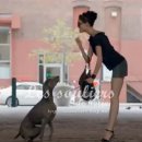 오마이독(oh my dog) 이미지