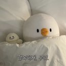 혼키