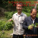 김원기농장 이미지